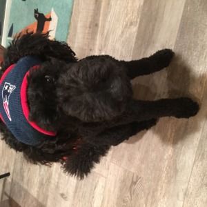 Meet your Posher, Elayne